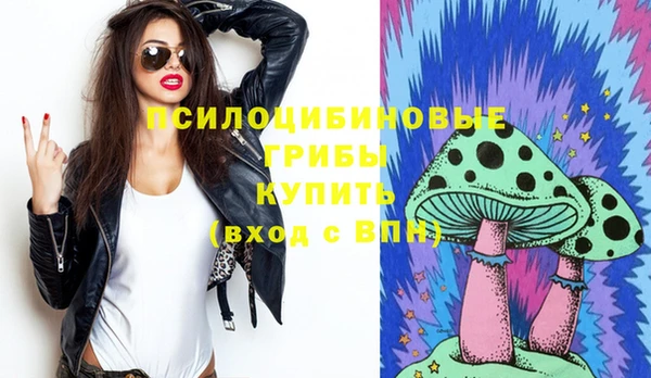 твердый Алексеевка