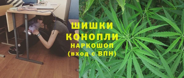Альфа ПВП Алзамай