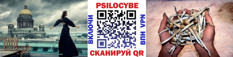 Псилоцибиновые грибы мухоморы  Мещовск 